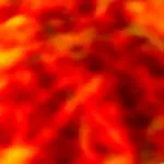 Refreshing Apple Cranberry Carrot Salad